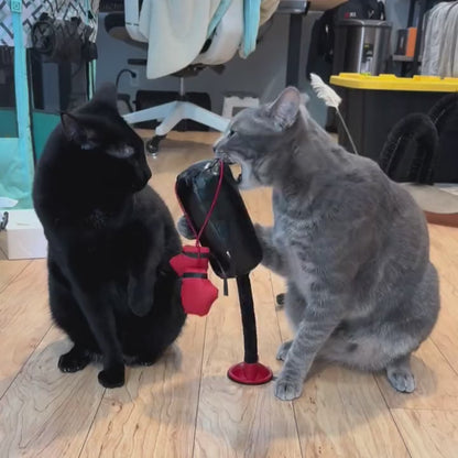 PurrrPunch — Боксёрская груша для кошек 🥊 Идеальна для маленькой квартиры — котик занят и играет