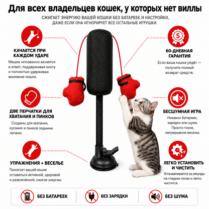 PurrrPunch — Боксёрская груша для кошек 🥊 Идеальна для маленькой квартиры — котик занят и играет